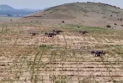 我國十余年間完成沙化土地治理3.65億畝