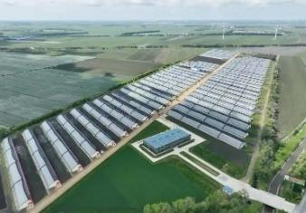 黑龍江富錦市：探秘北國(guó)糧都的農(nóng)文旅新樣板