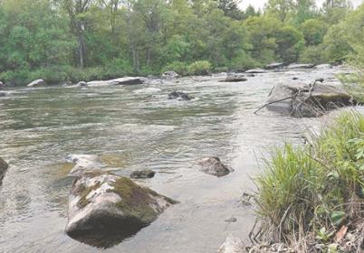 黑龍江省啟動(dòng)“綠盾2025”自然保護(hù)地強(qiáng)化監(jiān)督工作