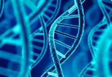 細(xì)胞新圖譜揭示關(guān)鍵DNA對(duì)癌癥進(jìn)化的作用