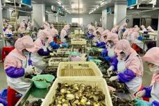 全國第一！今年前5個(gè)月福建鮑魚制品出口規(guī)模創(chuàng)新高