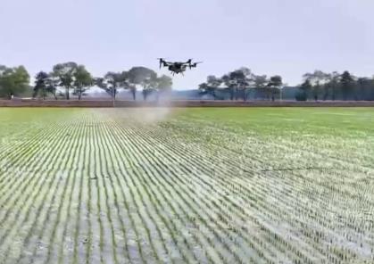 希望的田野智“繪”好“豐”景 “三夏”生產(chǎn)向“新”而行