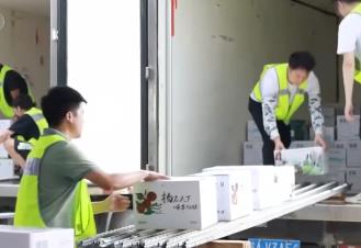 從內(nèi)銷到出口 冷鏈物流讓水果實現(xiàn)才下“枝頭”就上“舌尖”
