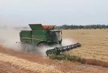 良種良機(jī)良法為夏糧豐收提供“硬支撐” 農(nóng)業(yè)現(xiàn)代化圖景有“智”更有“質(zhì)”