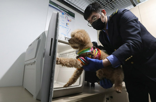 6月20日起鐵路部門擴大高鐵寵物托運服務(wù)試點范圍