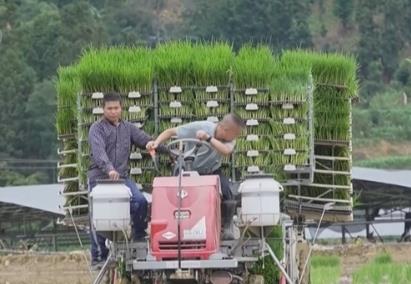 “機(jī)械+科技”、稻鴨共養(yǎng)、移動(dòng)菇房 “智慧”引擎激活鄉(xiāng)村振興新動(dòng)能