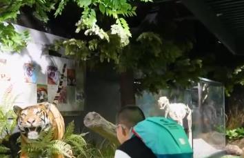 “百獸之王”變身文旅IP 沉浸式體驗(yàn)帶火生態(tài)游