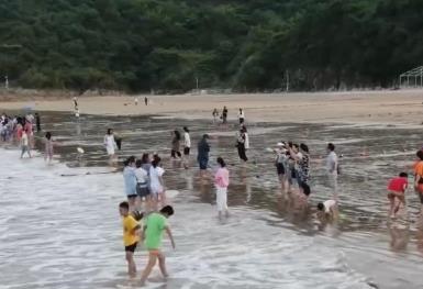 從海濱休閑到草原狂歡：暑期文旅市場多點開花 新業(yè)態(tài)激發(fā)消費新活力