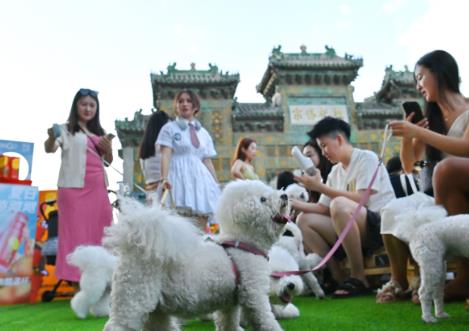 創(chuàng)新消費場景，寵物經濟熱潮涌動