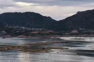 海上田園迎豐收 特色養(yǎng)殖孕育富民產(chǎn)業(yè)