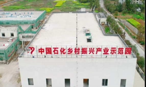 中國(guó)石化定點(diǎn)幫扶工作連續(xù)八年獲評(píng)最高等次