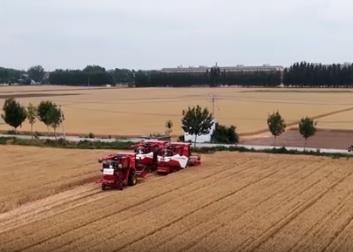 農(nóng)業(yè)農(nóng)村部組織開展奮戰(zhàn)100天抓夏管提單產(chǎn)抗災(zāi)奪秋糧豐收行動