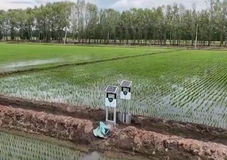 抓夏管 提單產(chǎn) 夯實秋糧豐收基礎(chǔ)