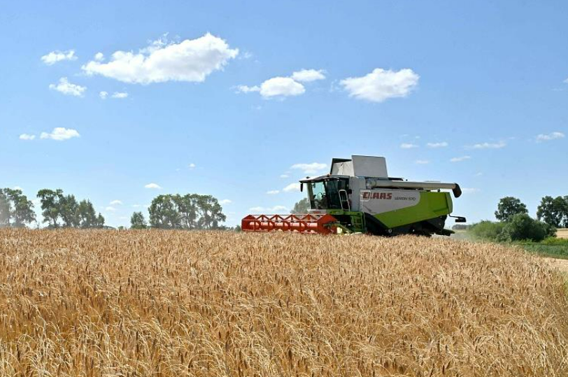 安撫本土農(nóng)民 歐盟調(diào)整烏克蘭小麥和糖進(jìn)口配額