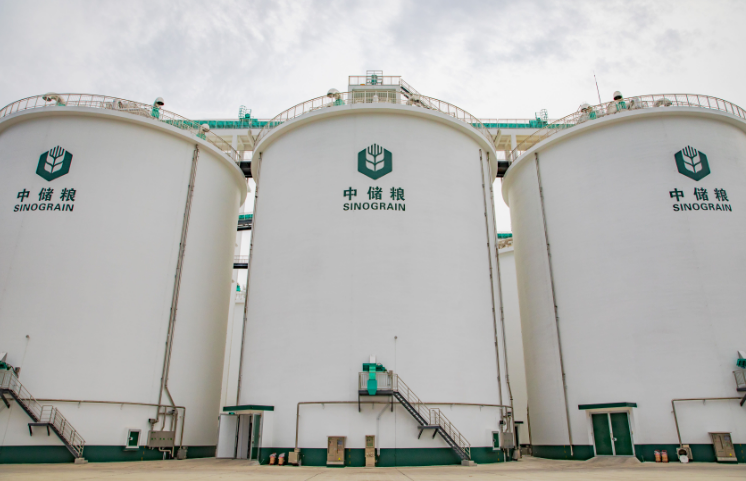 中儲(chǔ)糧夏收工作有序推進(jìn) 守住農(nóng)民“種糧賣(mài)得出”底線