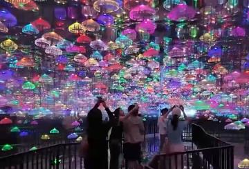 時(shí)髦新“夜”態(tài)、“室內(nèi)版”新興運(yùn)動(dòng)……消費(fèi)“新寵”激活夏日經(jīng)濟(jì)活力