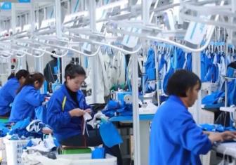 19條穩(wěn)就業(yè)硬核舉措出爐，專(zhuān)家解讀