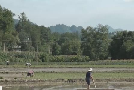 支持洪澇臺(tái)風(fēng)災(zāi)后農(nóng)業(yè)生產(chǎn)救災(zāi)打好“組合拳” 智能設(shè)備助力顆粒歸倉(cāng)