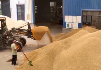 我國(guó)早稻收獲陸續(xù)展開