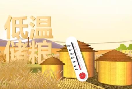保質(zhì)保鮮 科學(xué)儲(chǔ)糧守好“大國(guó)糧倉(cāng)”