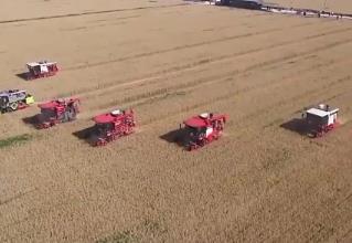 一噴三防、水肥一體化 科技賦能實現(xiàn)全國夏糧穩(wěn)產(chǎn)豐收