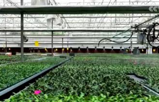 多點(diǎn)發(fā)力降低高溫對(duì)農(nóng)業(yè)生產(chǎn)影響 “新”潮澎湃為穩(wěn)產(chǎn)優(yōu)產(chǎn)保駕護(hù)航