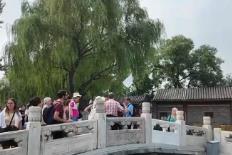 政策紅利深度釋放激活文旅市場(chǎng)潛力 “China Travel”持續(xù)升溫解鎖多樣中國(guó)