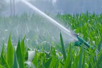 智“繪”田管圖 科技為全力保障秋糧作物生長裝上“數(shù)字大腦”