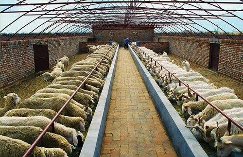 農(nóng)業(yè)農(nóng)村部法規(guī)司、畜牧獸醫(yī)局負(fù)責(zé)人就《畜禽養(yǎng)殖場備案管理辦法》答記者問