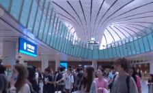 暑期出行“熱”潮涌動(dòng) “夏日經(jīng)濟(jì)”活力持續(xù)釋放