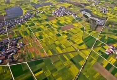 上半年全國農(nóng)業(yè)農(nóng)村經(jīng)濟運行總體平穩(wěn)