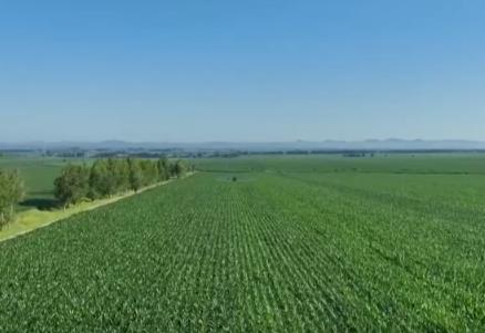 “菜籃子”產(chǎn)品供給有保障價格平穩(wěn) 可滿足城鄉(xiāng)居民消費需求