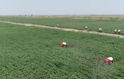 “指尖輕觸”智慧耕作 “科技衛(wèi)士”成得力助手 棉田管理更“聰明”夯實豐產(chǎn)基礎(chǔ)