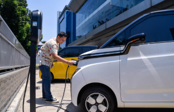 中國(guó)品牌占據(jù)印尼上半年純電動(dòng)車(chē)市場(chǎng)超九成份額