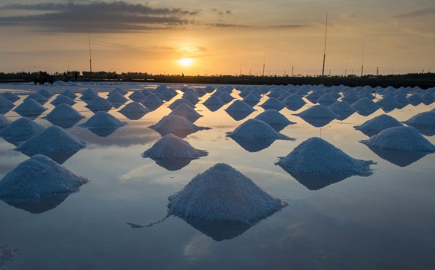 廣東鹽業(yè)集團(tuán)上半年實(shí)現(xiàn)“雙過(guò)半”