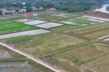 稻漁綜合種養(yǎng)、深遠海養(yǎng)殖 新產業(yè)、新模式打開富民增收“新路徑”