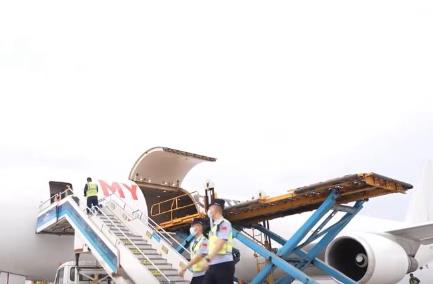 客貨齊增！國際客運(yùn)貨運(yùn)航線加密 絲路核心樞紐活力凸顯