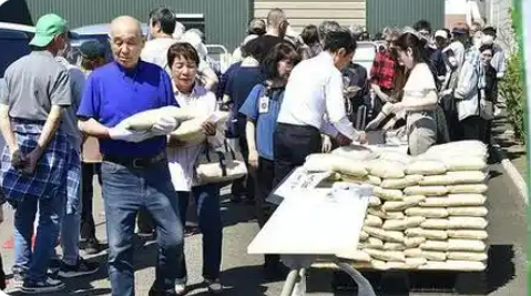 日本多地嚴(yán)重缺水 水稻產(chǎn)區(qū)面臨“新米危機(jī)”