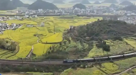 “高鐵+旅游”深度融合：特色專列助力暑期鄉(xiāng)村游市場升溫