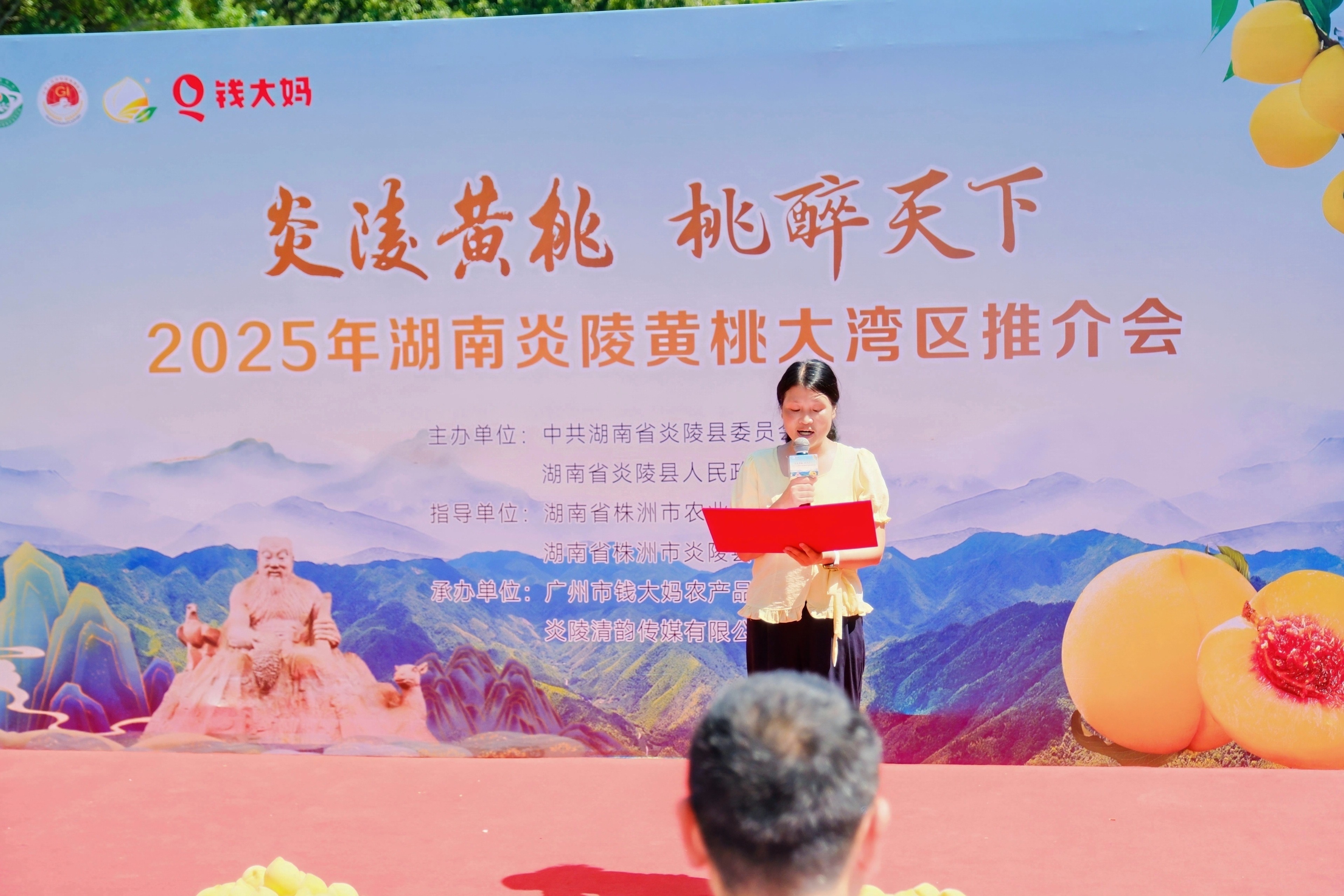 地理標志炎陵黃桃搶鮮上市，錢大媽“朝采暮達”重塑生鮮時速