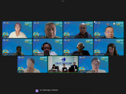 廣東恒興在聯(lián)合國糧農(nóng)組織（FAO）會議上代表中國輸出金鯧魚產(chǎn)業(yè)“中國范本”！