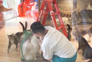 突破8114億元！科技重塑“它經(jīng)濟(jì)” “毛孩子”情感消費(fèi)撬動(dòng)經(jīng)濟(jì)新支點(diǎn)