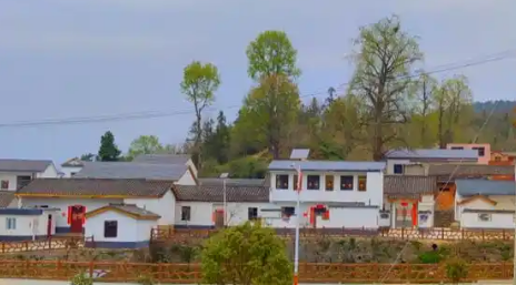 中國移動架起數(shù)字橋照亮大畈村振興路