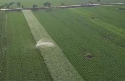 科技賦能抗旱保豐收 多地積極應(yīng)對(duì)高溫天氣農(nóng)業(yè)生產(chǎn)