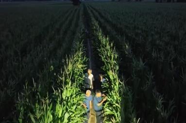 應(yīng)對高溫干旱 多地科學(xué)調(diào)度水源 強(qiáng)化田間管理 抗旱保豐收