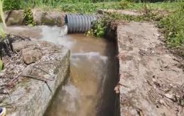 投用新機(jī)井、開展夜間灌溉……各地多措并舉助農(nóng)穩(wěn)產(chǎn)保豐收