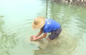 小小螺螄從田間到餐桌 撬動廣西柳州吃螺大產(chǎn)業(yè)