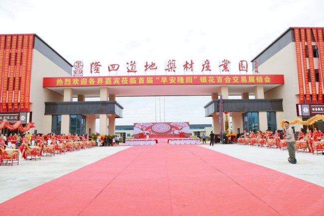 隆回以“中藥材”為筆，繪就鄉(xiāng)村振興百億圖景