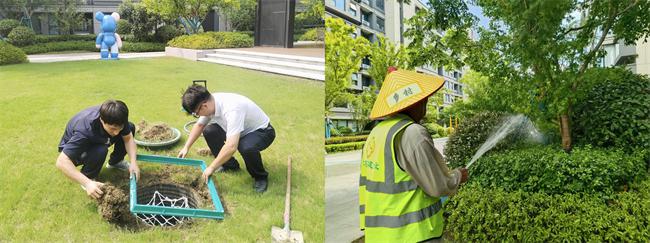 蘇州胥江新著雅苑：夏日守護(hù)方程式