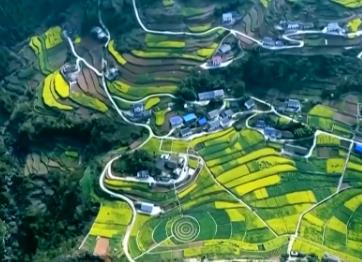 我國(guó)成為全球增綠最多最快的國(guó)家